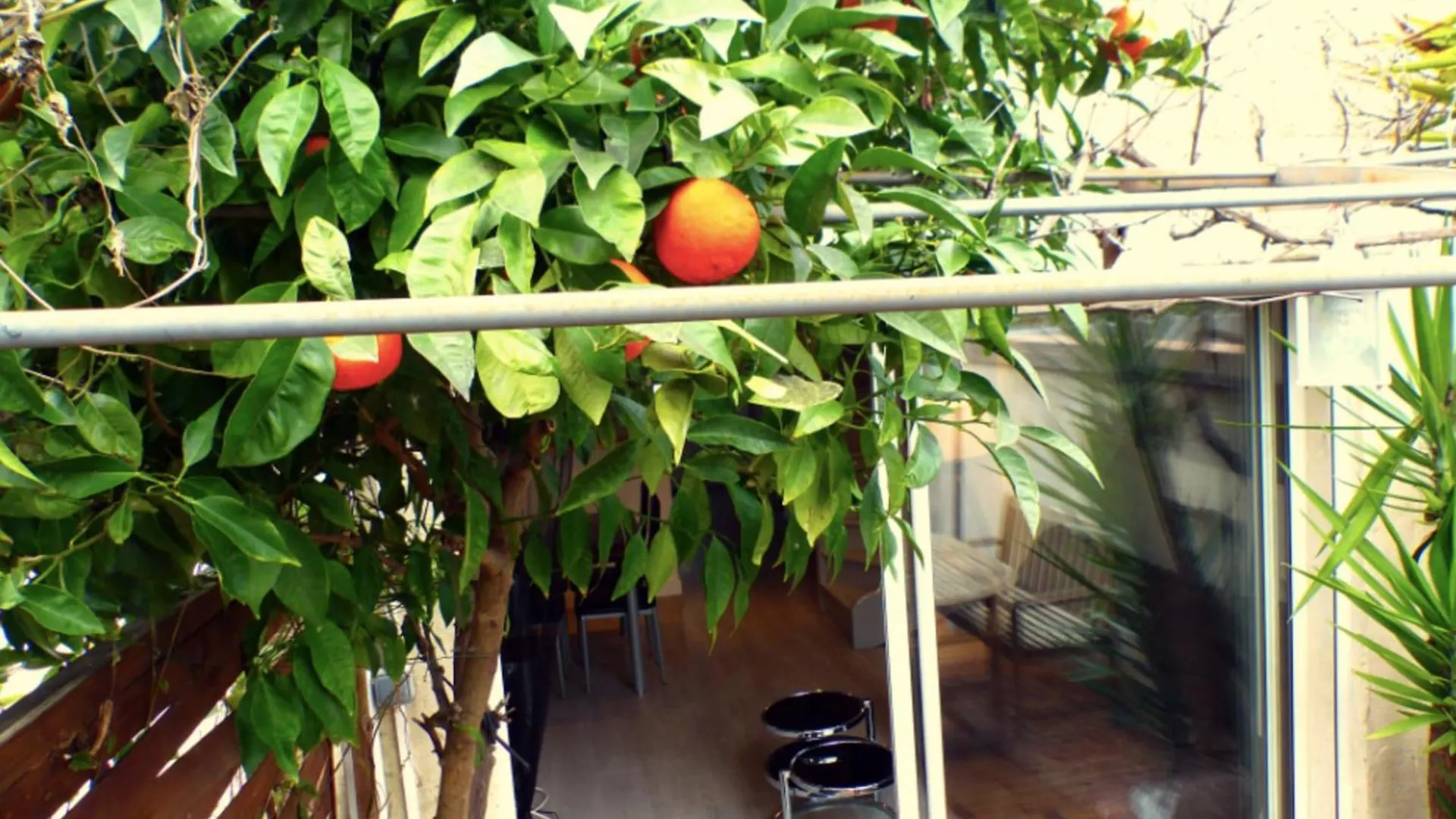 Beautiful House With Shared Pool And Terrace Διαμέρισμα Sanary-sur-Mer 0*,
